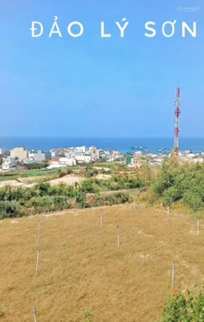 Văn phòng GD BĐS QuangVinh-là VP BĐS duy nhất tại đảo Lý Sơn.chào bán các lô đất giá từ 40tr-70tỷ