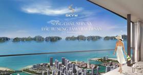Chuỗi mini hotel view biển tại trung tâm Hạ Long giá dự kiến chỉ từ 1tỷ5