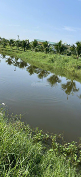 Loại hình đất và nhà, có vườn trái cây lâu năm còn có thể xây trang trại diện tích hơn 5 mẫu 2