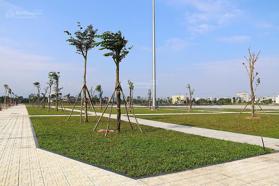 HOT! Bán Đất nền đấu giá tại Quảng trường Tư Nghĩa. Giấy tờ pháp lý đầu đủ. Full sổ đỏ