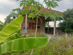 Bán đất tại Tỉnh Lộ 865, 2,16 tỷ, 660m2, pháp lý đầy đủ