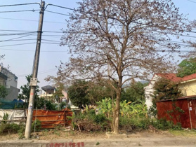 Đẹp từ vị trí đến tiện ích, bán lô đất đẹp đường Nguyễn Hữu An