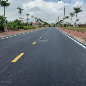 Bán đất đấu giá trung tâm Hải Xuân, Hải Hậu - Đường nhựa 9m, gần Quốc lộ 21A, dân cư đông
