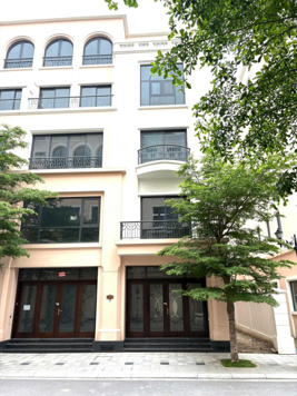 Bán biệt thự đẹp tại Vinhomes Ocean Park 2, 12,69 tỷ, 105m2, giá rẻ bất ngờ