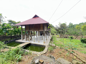Chính chủ gửi em Tâm bán lô đất nghỉ dưỡng tổng diện tích 12.000m2 tại Lương Sơn, Hòa Bình