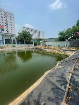 Cho thuê lại hồ câu cá 1000m2 hẻm đường số phường Trường Thọ Thủ Đức
