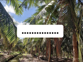 Cần Bán Đất Trồng Dừa gần Chợ Tân Trung - Hương Mỹ - Mỏ Cày Nam - Bến Tre.