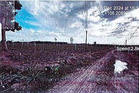 Bán ĐGTS đất tại Xã Suối Đá, huyện Dương Minh Châu, tỉnh Tây Ninh