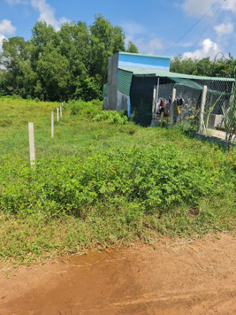 Bán gấp lô đất thổ cư 5x26 giá 450tr tại Trảng Bàng Tây Ninh