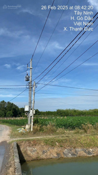 1.300m2 có sẵn 900 m2 thổ cư chỉ có 1.3 tỷ hết đất tại xã Thạnh Đức - Gò Dầu - Tây Ninh