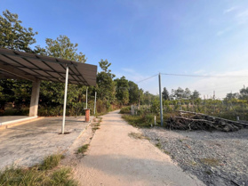 Chính chủ bán gấp đất Tây Ninh Gò Dầu, 5x40m thổ 100m2, giá 320 triệu đồng