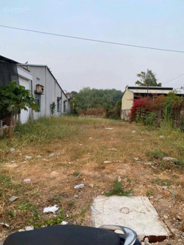 Kẹt tiền bán gấp 250m2 ngang 5m dài 50m giá 550 triệu SHR gần chợ Suối Sâu dân đông TX Trảng Bàng