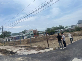 Bán lô đất vàng tại phường Tân Hòa, Phú Mỹ cơ hội đầu tư sinh lời khủng