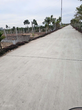 CHO THUÊ ĐẤT VƯỜN Ở THÔN 2, GIA LÂM, NHO QUAN, NINH BÌNH PHÙ HỢP LÀM NHÀ XƯỞNG KHO BÃI TRỒNG CÂY