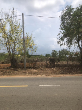 BÁN ĐẤT NÔNG NGHIỆP HUYỆN CHÂU ĐỨC , TỈNH BÀ RỊA VŨNG TÀU. THÍCH HỢP XÂY BIỆT THỰ NGHỊ DƯỠNG