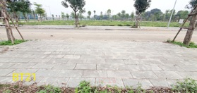 bán đất biệt thự đất đấu giá tại Tân Vinh, Lương Sơn