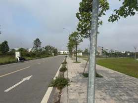 Dự án khu đô thị mới , cạnh Trường Cao Đẳng Việt Hàn