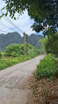 BÁN ĐẤT LÀM HOMESTAY, LÀM NHÀ Ở TẠI XÃ TRƯỜNG YÊN, HOA LƯ, NINH BÌNH