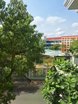 BÁN NHANH BIỆT THỰ GÓC 2MẶT TIỀN Đ 43, P TÂN QUY QUẬN 7 ,180M2,3TẦNG, CHỈ 30Tỉ Tl