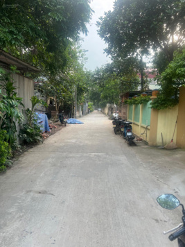 Bán đất mặt đường trục chính Ngọc Nội, Trạm Lộ. Đường ô tô tránh nhau
