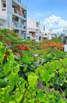 Bán nhà 6 tầng - mặt tiền Đường Bạch Đằng - Khu Phố Hàn ngang 7,35m