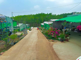 Cho thuê trang trại 7000m² tại Lộc Ninh Cơ hội khởi nghiệp chăn nuôi thu nhập cao