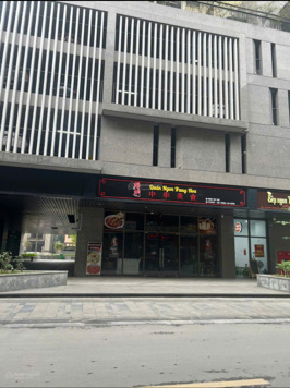 Cho thuê shophouse chân đế chung cư Terra An Hưng