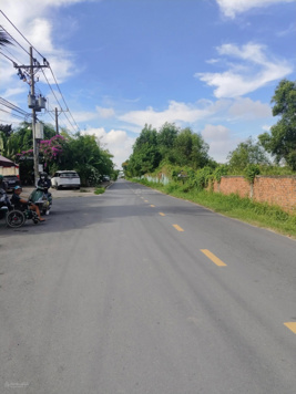 BÁN CHDV - 4TẦNG - 10x50- ĐƯỜNG BƯNG ÔNG THOÀN - PHÚ HỮU - TP THỦ ĐỨC.