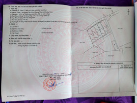 Bán đất trục chính Hoàng Tân, lõi dự án Hạ Long Xanh