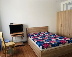 Biệt thự mini 3 tầng thiết kế Châu Âu HXH Nguyễn Văn Đậu, P6