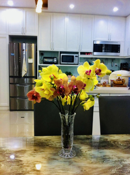 Bán biệt thự mini đường Đặng Văn Ngữ, khu cao cấp, hẻm rộng. Nhà nở hậu. Ô tô đậu được trong nhà