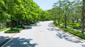 Ô động đất à? Không phải đâu là biệt thự CIPUTRA 3 đó ạ. Diện tích 140m - 250m. Giá từ 60 - 90 tỷ ạ