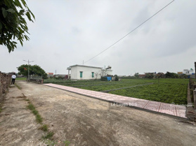 Bán đất tại Giao Yến, Giao Thủy, Nam Định, full cư. 14tr/m2, 90m2. Ngân hàng hỗ trợ 50%