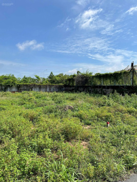 Bán 2 lô liền kề vị trí trung tâm, ngay đường nhựa đường Châu Pha Bà Rịa