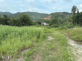 Bán nhanh lô đất 1868,8m² gần Hồ Đá Cóc, Thanh Thủy, Phú Thọ. LH 0987 458 984