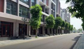 Mua đầu tư căn LK 80m2, 85m2 mặt tiền 5m nên chọn Ánh Dương hay Phố Biển - Quỹ còn căn nào giá tốt?