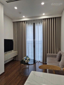 Chính chủ chuyển chỗ làm cần bán gấp căn 2PN-2VS, 55m2, 4 tỷ 450, view hồ tòa B Masteri Smart City.