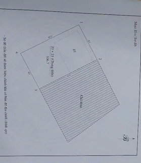 CỰC HOT! Đất Vàng Âu Cơ - Tặng Nhà, Chia Lô Đẹp, Ngõ Ba Gác Thông, 40m Ra Phố, Gần CV Nước!