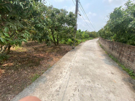 Chính chủ bán đất xã Thanh Xuân 120m² giá siêu mềm chỉ 25.5 triệu/m² đường ô tô vào tận nơi