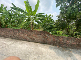 Đất thổ cư xã Thanh Thủy 122m² gần trường học, chợ Giá chỉ 26 triệu/m², đầu tư cực tiềm năng