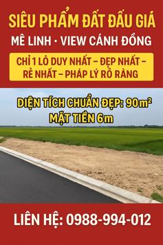 🌟 SIÊU PHẨM ĐẤT ĐẤU GIÁ VIEW CÁNH ĐỒNG – CHU TRẦN TIẾN THỊNH, MÊ LINH 🌟 0988-994-012