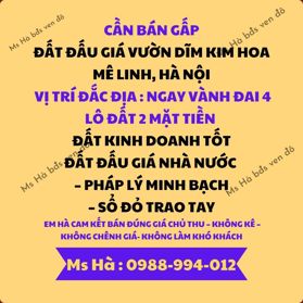 📢 SIÊU PHẨM ĐẤT ĐẤU GIÁ VÀNH ĐAI 4 – VƯỜN DĨM KIM HOA, MÊ LINH, HÀ NỘI