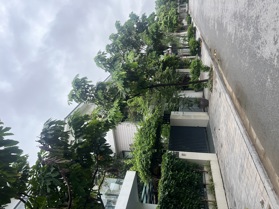 Bán biệt thự An Vượng sát đường Lê Quang Đạo, dt 180m2 giá 41, x tỷ