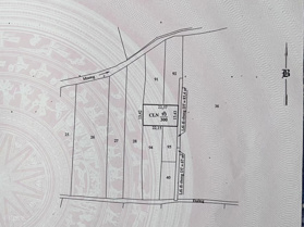 Bán đất CLN 989.2m2 sổ hồng riêng xã Thành Hải gần QL1A (còn thương lượng)