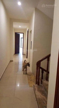Bán CC dòng tiền 80tr/tháng ngay Giảng Võ, Ba Đình, 118m2, 20PN, pháp lý đầy đủ