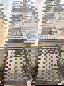 ĐẸP NHƯ NGỌC TRINH - TÂN BÌNH - LẠC LONG QUÂN, 55m2, 5 tầng, siêu xe ngủ nhà, giá bất ngờ.