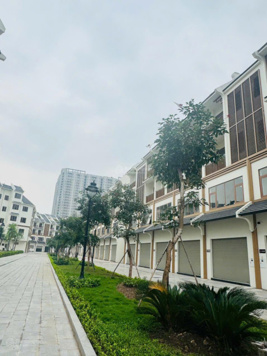 Quỹ căn Hinode Royal Park tháng 6/2025 dành cho nhà đầu tư giá rẻ
