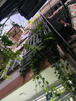 Bán nhà riêng tại đường Hoàng Hoa Thám, Ba Đình, Hà Nội, 7.9 tỷ, 34m2