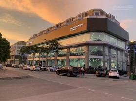 Bán nhà hoàn thiện đẹp lung linh mặt vườn hoa giá chỉ 14.x tỷ