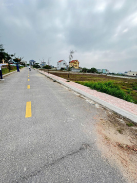 Bán gấp 2 lô đất biển Quất Lâm giá rẻ nhất thị trường 2-3 giá DT 185,8m sát đất nghỉ dưỡng Flamingo